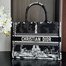 Christian Dior Shopping Bags